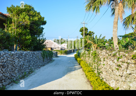 Straße mit traditionellen Steinmauern im Tropical island Taktomi in Japan Stockfoto