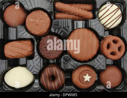 Schokoladenkekse in einem Plastikbehälter Stockfoto
