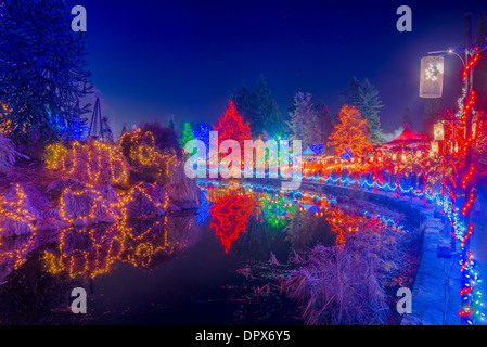 Festival der Lichter, VanDusen Botanical Garden, Vancouver, Britisch-Kolumbien, Kanada Stockfoto