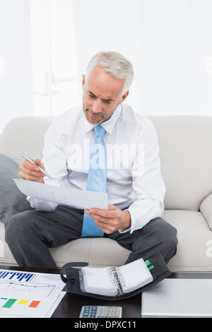 Geschäftsmann mit Grafiken und Tagebuch zu Hause Stockfoto