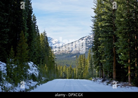 Reiseziel Colorado. Verschneiten Winter Colorado Straße mitten im nirgendwo. Berge Landschaft voraus. Stockfoto