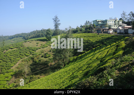 Hügel-Station in Vagamon, Kerala, Indien Stockfoto