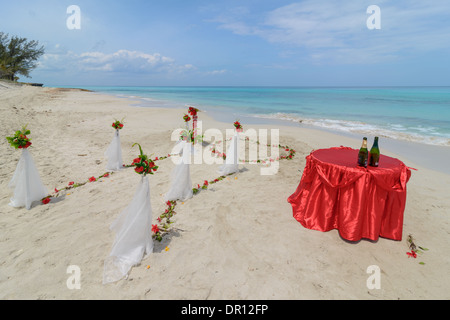 Hochzeit bin Strang, Hochzeit am Strand Stockfoto