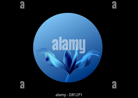 BLUE rose Petal Blume Shell auf schwarz Stockfoto