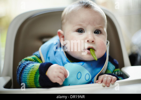 Ein Baby ca. 5 und einen halben Monat isst ein grünes Gemüse im Rahmen des Baby geführt Entwöhnung Stockfoto