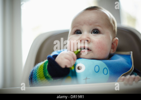 Ein Baby ca. 5 und einen halben Monat isst ein grünes Gemüse im Rahmen des Baby geführt Entwöhnung Stockfoto