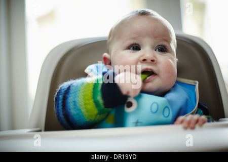 Ein Baby ca. 5 und einen halben Monat isst ein grünes Gemüse im Rahmen des Baby geführt Entwöhnung Stockfoto