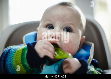 Ein Baby ca. 5 und einen halben Monat isst ein grünes Gemüse im Rahmen des Baby geführt Entwöhnung Stockfoto