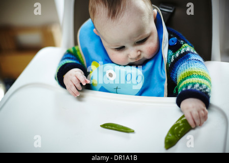 Ein Baby ca. 5 und einen halben Monat isst ein grünes Gemüse im Rahmen des Baby geführt Entwöhnung Stockfoto