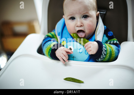 Ein Baby ca. 5 und einen halben Monat isst ein grünes Gemüse im Rahmen des Baby geführt Entwöhnung Stockfoto