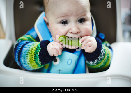 Ein Baby ca. 5 und einen halben Monat isst ein grünes Gemüse im Rahmen des Baby geführt Entwöhnung Stockfoto