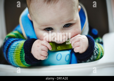 Ein Baby ca. 5 und einen halben Monat isst ein grünes Gemüse im Rahmen des Baby geführt Entwöhnung Stockfoto