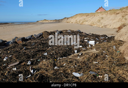St Germain-Sur-Ay, Normandie, Frankreich Stockfoto