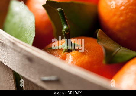 Orangen in Holzkiste Stockfoto