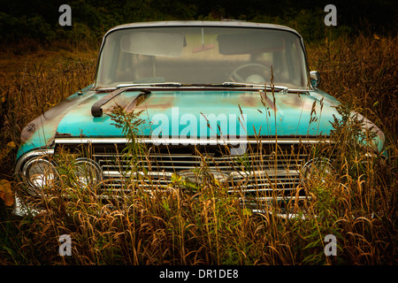Oldtimer in hohe Gräser geparkt Stockfoto