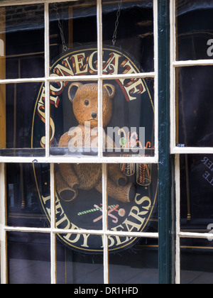 Stonegate Teddybären Stonegate York Yorkshire England Stockfoto