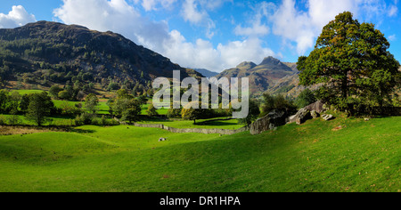 Langdale Pikes, Lake District, England, aus Kopte Howe, Panorama Stockfoto