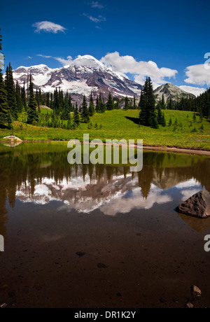 WASHINGTON - Mount Rainier reflektiert in einem kleinen Teich im indischen Henry Jagdrevier im Mount Rainier National Park. Stockfoto