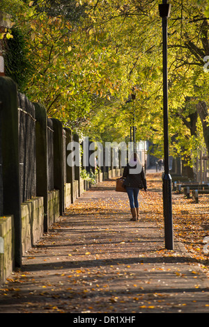 1 junge Frau alleine wandern, entlang einer ruhigen, landschaftlich reizvollen, von Bäumen gesäumten Fußweg an einem sonnigen Tag im Frühherbst - Dame Judi Dench, York, England, UK. Stockfoto