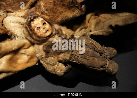 Qilakitsoq Mumie im Nationalmuseum Grönland in Nuuk, Grönland Stockfoto