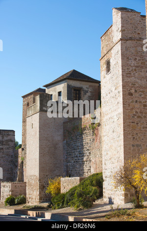 Castillo de Gibralfaro, Malaga, Andalusien, Spanien Stockfoto