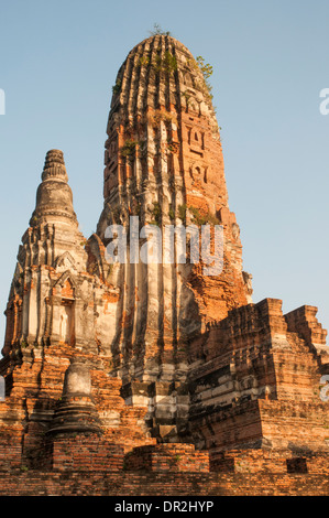 Phra Vihara, der zentrale Prang oder Tower of Wat Phra, die, Ayutthaya, Thailand Stockfoto