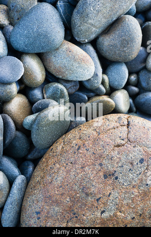 Ungefähr 20 Fuß, von der Brandung die Felsen geschlagen und poliert durch Sand und Protokolle Stockfoto