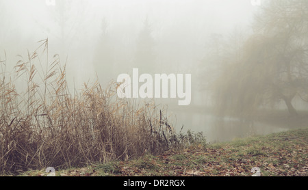Nebligen Morgen über den kleinen noch See Stockfoto