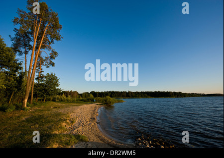 Stausee in der Nähe von Nielisz Dorf in der Woiwodschaft Lublin, SE Polen. Stockfoto