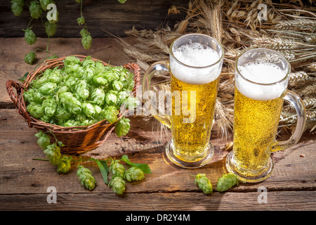 Kaltes Bier, umgeben von Hopfen-Zapfen Stockfoto