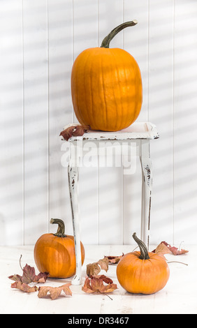 Thanksgiving Kürbis Anzeige auf rustikalen weißen Tisch mit Herbstlaub Stockfoto