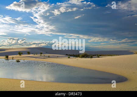 Teich und Sanddünen, White Sands National Park, Alamogordo, New Mexiko USA Stockfoto