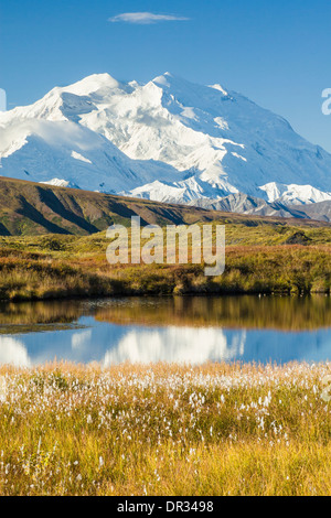 Osten Angesichts der Denali (ehemals Mt. McKinley) in der Tundra Teich mit Herbstfarben im Denali National Park, Alaska wider. Stockfoto