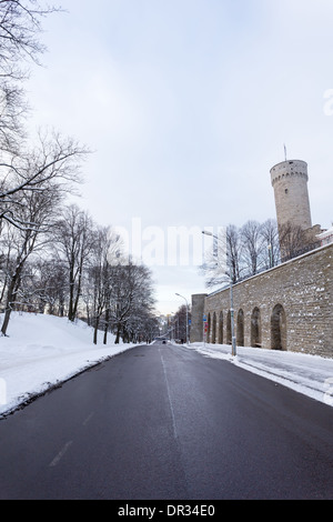 Lange Herman (Pikk Herman) Turm mit estnische Nationalflagge an der Spitze in Tallinn, Estland Stockfoto