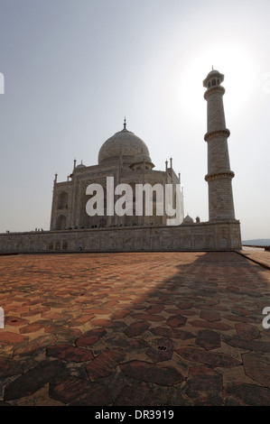 Am späten Nachmittag Sonne durchscheinen eines Taj Mahal Minarette Stockfoto