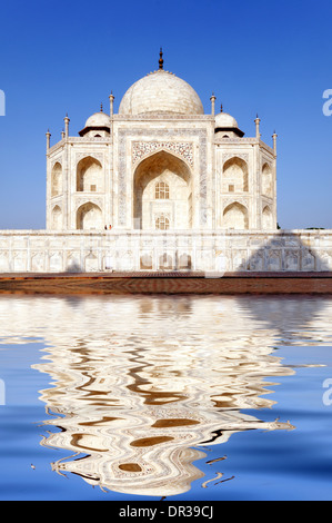Das Taj Mahal spiegelt sich im Wasser Stockfoto