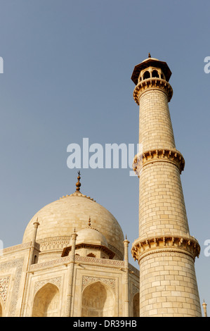 Details des Taj Mahal Stockfoto