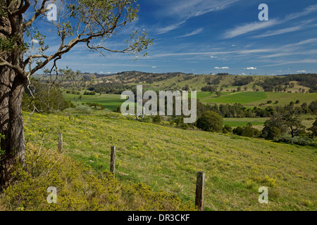 Malerische Landschaft von sanften Hügeln und fruchtbaren grünen Tal unter blauem Himmel in der Nähe von Dungog in New South Wales Australien Stockfoto