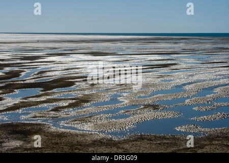 Riesiger Strand bei Ebbe in Hervey Bay mit Meeresboden ausgesetzt und mit Silber umrandet Pools von blauem Wasser, die zum Horizont erstrecken sich bedeckt Stockfoto