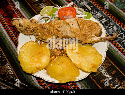 Traditionelle peruanische Mahlzeit gebratenes Meerschweinchen mit Kartoffeln, Bohnen und frischem Salat serviert im Restaurant in der Stadt Ayacucho Peru Stockfoto