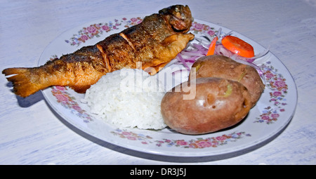 Traditionelle peruanische Mahlzeit aus Reis, Kartoffeln und Forellen vom Titicaca-See serviert auf weißen Teller mit Blumendekor Stockfoto