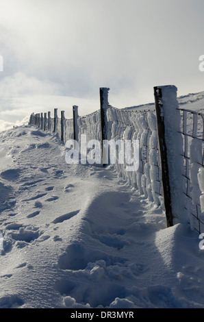 Sonne auf Schnee und Eis shinning verkrustete Zaun an den Hängen des Skiddaw, Lake District, Cumbria, England. Stockfoto