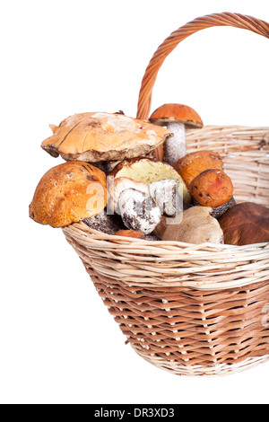 Korb mit verschiedenen Pilzen aus Wald, Closeup auf weißem Hintergrund Stockfoto