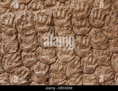 Vorrat an trockenem Kuhdung an der Wand in Tibet als Brennstoff zum Kochen Stockfoto