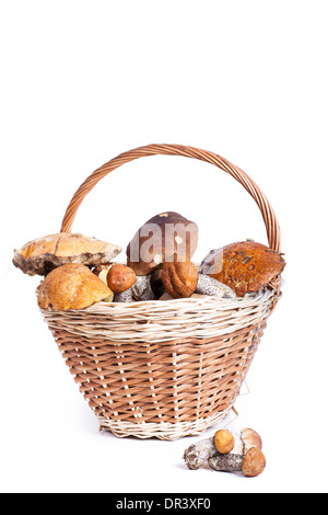 Korb mit verschiedenen Pilzen aus Wald, Closeup auf weißem Hintergrund Stockfoto