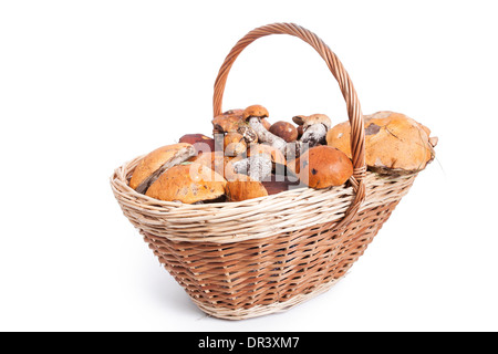 Korb mit verschiedenen Pilzen aus Wald, Closeup auf weißem Hintergrund Stockfoto