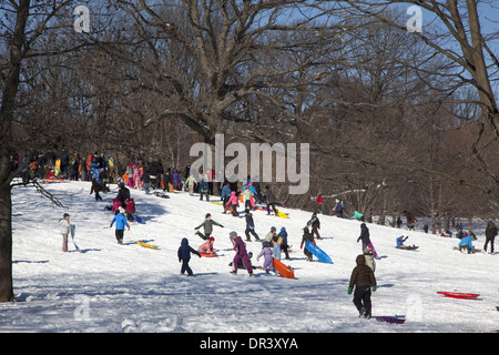 Viele Kinder & Eltern Rodeln nach dem ersten guten Schnee 2014 im Prospect Park, Brooklyn, NY Stockfoto