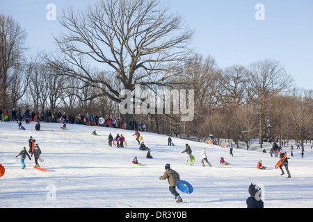 Viele Kinder & Eltern Rodeln nach dem ersten guten Schnee 2014 im Prospect Park, Brooklyn, NY Stockfoto