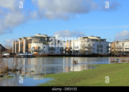 Chertsey, Surrey, England, UK. 19. Januar 2014. Luxus-Appartements in Bridge Wharf mit Blick auf die Themse Weg, der immer noch unter Wasser in einem Gebiet in der Nähe von Chertsey Brücke untergetaucht ist namens Dumsey Wiese, die Teil der Themse Flussaue ist. Nach den außergewöhnlichen Ebenen Niederschläge in ganz Großbritannien ist der Themse seine Banken vielerorts verursacht mehrere Straßensperrungen in Surrey einschließlich Chertsey-Brücke, die für 10 Tage geschlossen war geplatzt. Bildnachweis: Julia Gavin/Alamy Live-Nachrichten Stockfoto