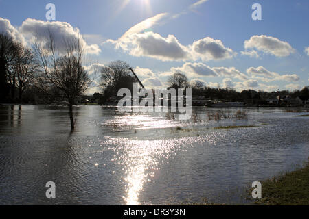 Chertsey, Surrey, England, UK. 19. Januar 2014. Die Thames Path ist noch unter Wasser in einem Gebiet in der Nähe von Chertsey Brücke namens Dumsey Wiese, die Teil der Themse Flussaue ist untergetaucht. Über den Fluss, die Boote in Chertsey Meads Marina vor Anker liegen. Nach den außergewöhnlichen Ebenen Niederschläge in ganz Großbritannien ist der Themse seine Banken vielerorts verursacht mehrere Straßensperrungen in Surrey einschließlich Chertsey-Brücke, die für 10 Tage geschlossen war geplatzt. Bildnachweis: Julia Gavin/Alamy Live-Nachrichten Stockfoto